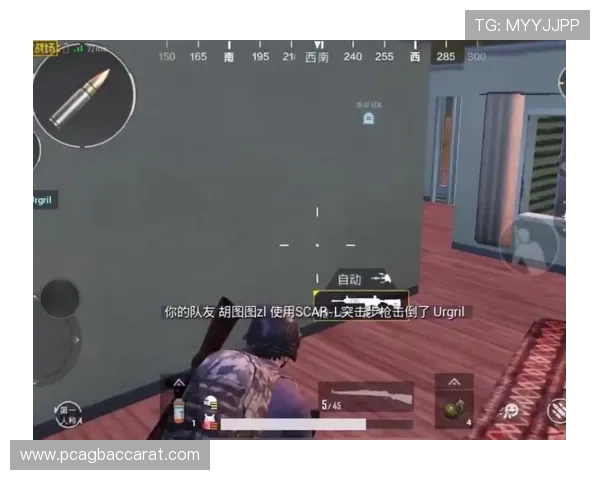 PA真人游戏带你体验真实刺激的娱乐新体验