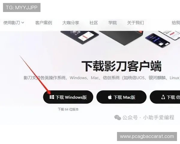 便捷访问ag线上下载官网，轻松获取最新软件资源和使用教程