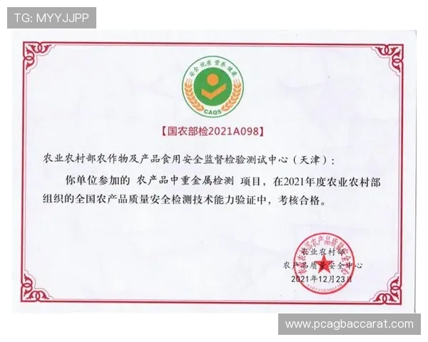 官方地址安全验证流程，保障玩家账号安全的最佳实践