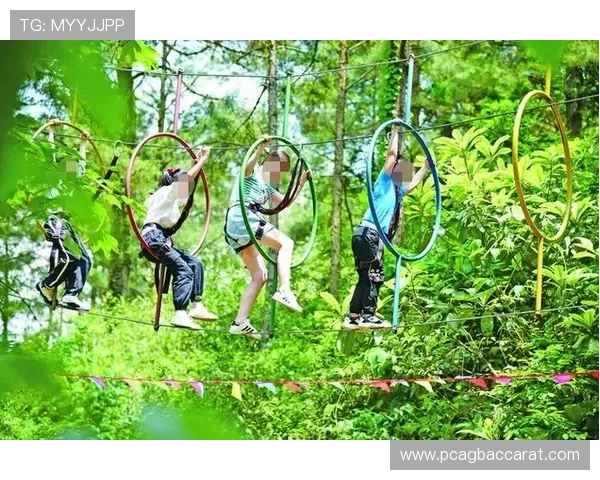 探索ag真人正版游戏的多样玩法，体验不同的娱乐乐趣