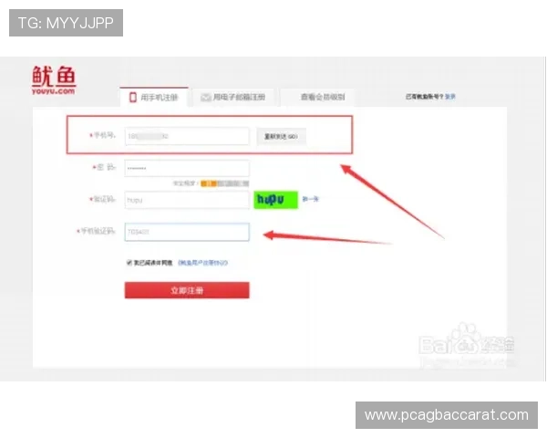 博鱼真人平台会员登录不上去的常见原因及安全登录技巧介绍