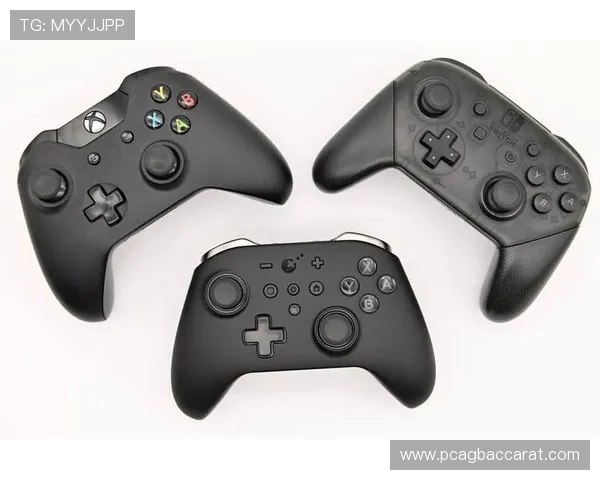 如何选择优质的AG体育真人平台确保资金安全与游戏体验 如何选择优质的AG体育真人平台确保资金安全与游戏体验